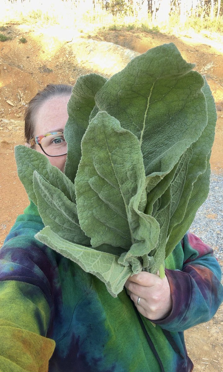 Buck Hills Farm tweet media