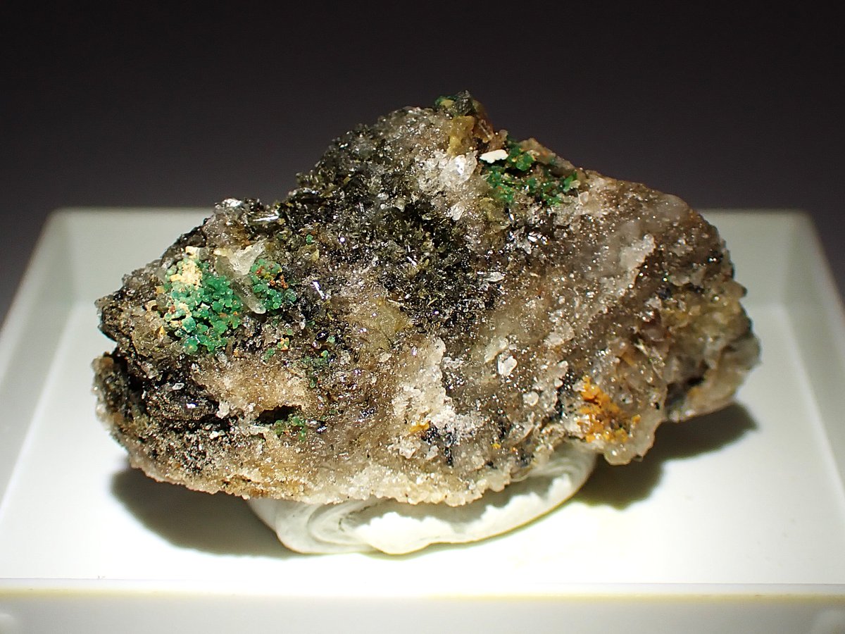 うらしー tweet media