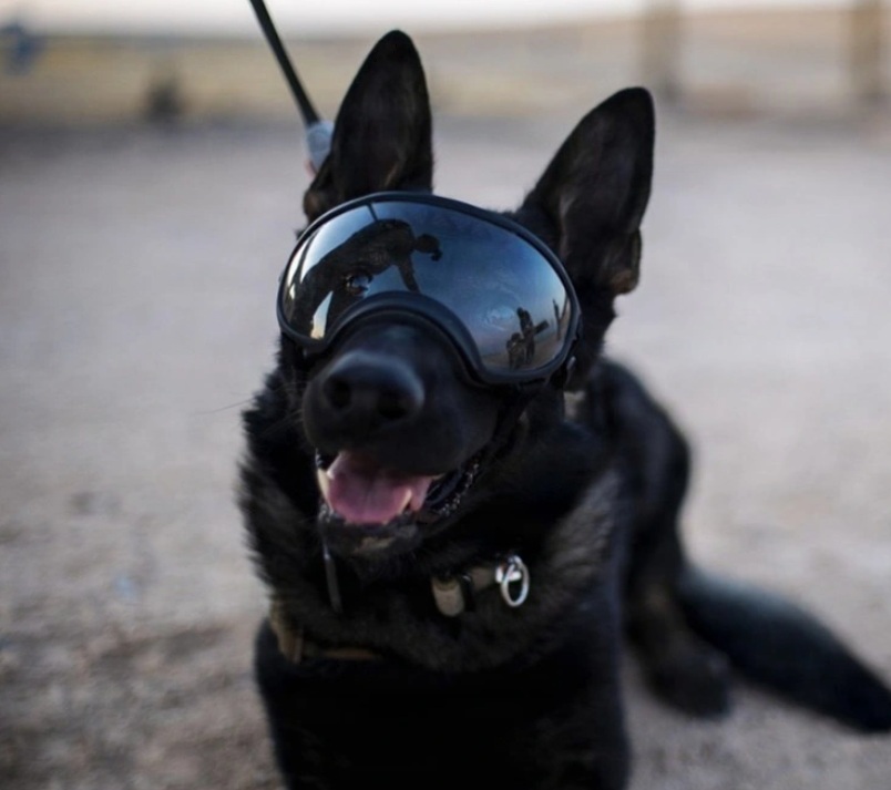 Tower of London Detainee tweet media