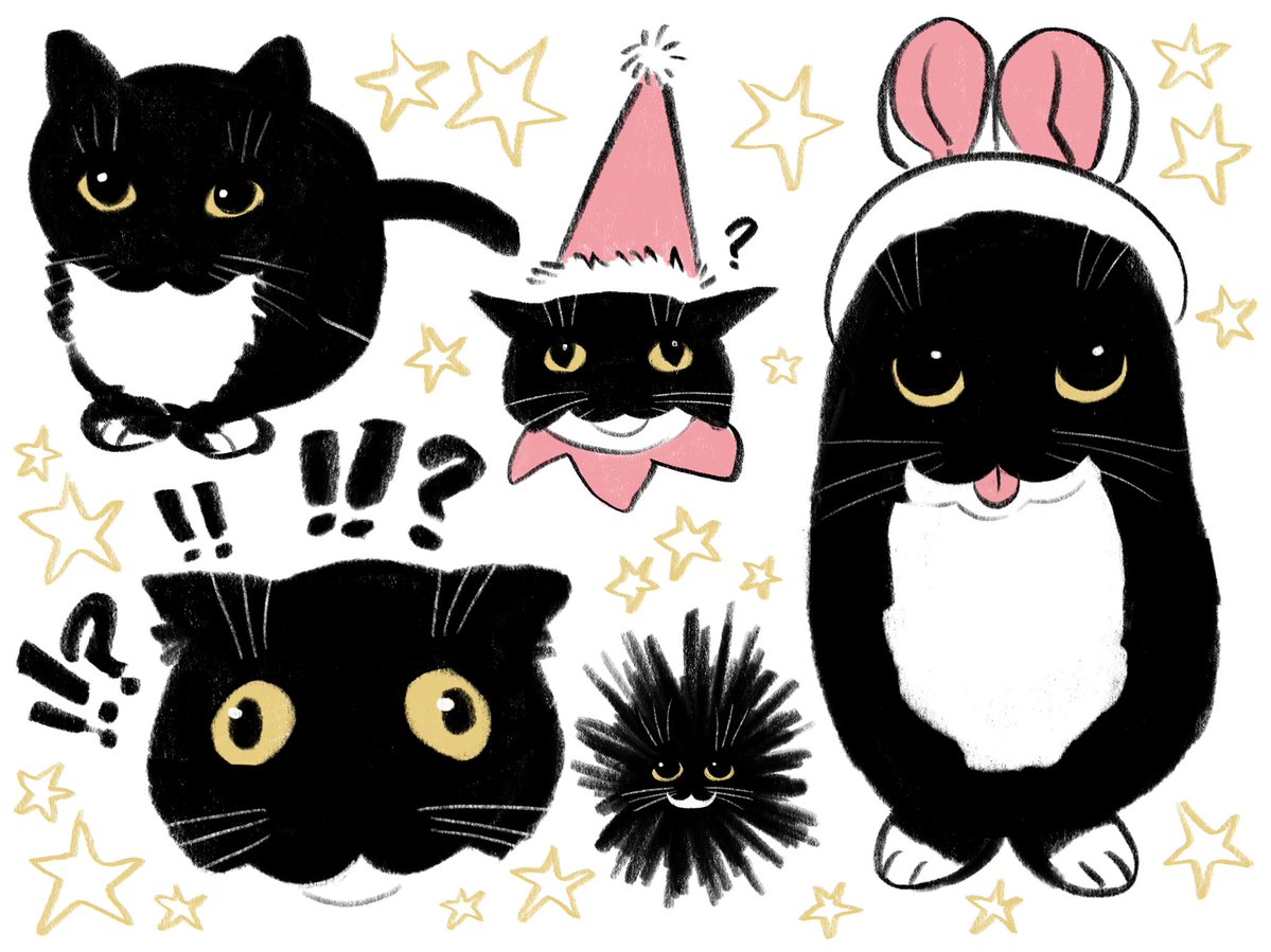 hannahomp tweet media