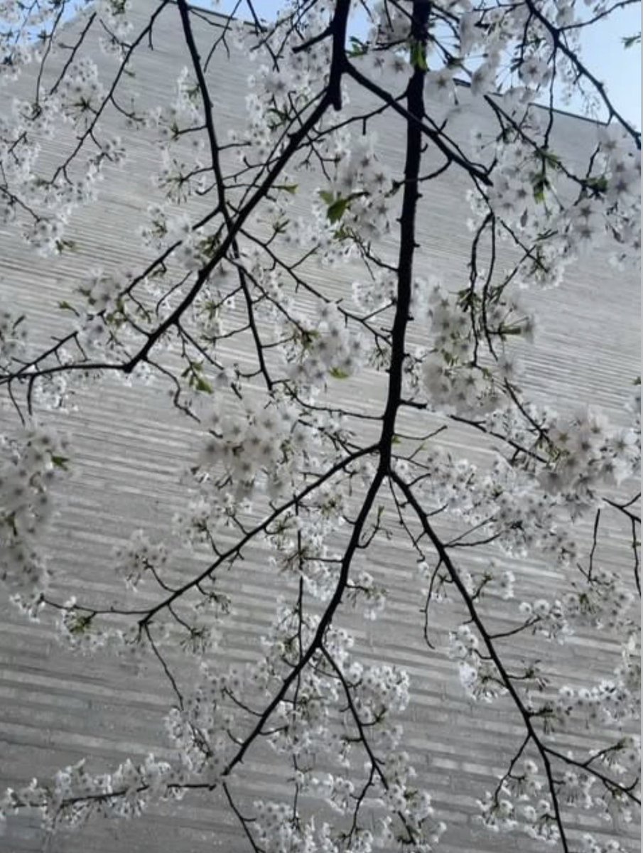 ccstbv's tweet image. (3/3)

#SantosBravos #산토스브라보스 #STBV_Korea #DrewVenegas @santos_bravos