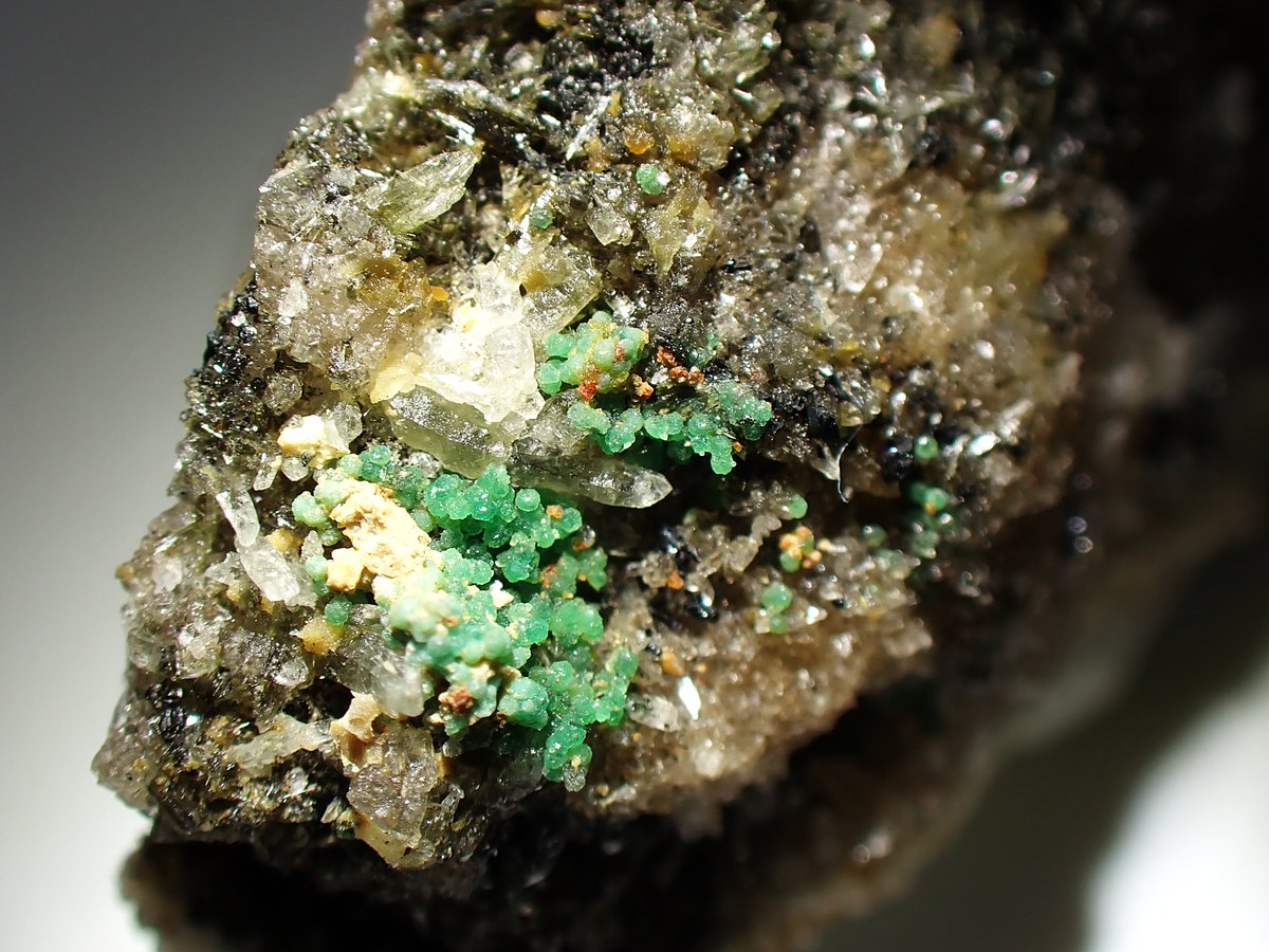 うらしー tweet media