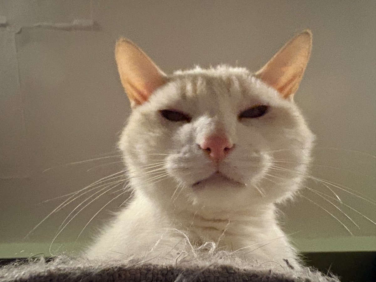 Ganymede tweet media