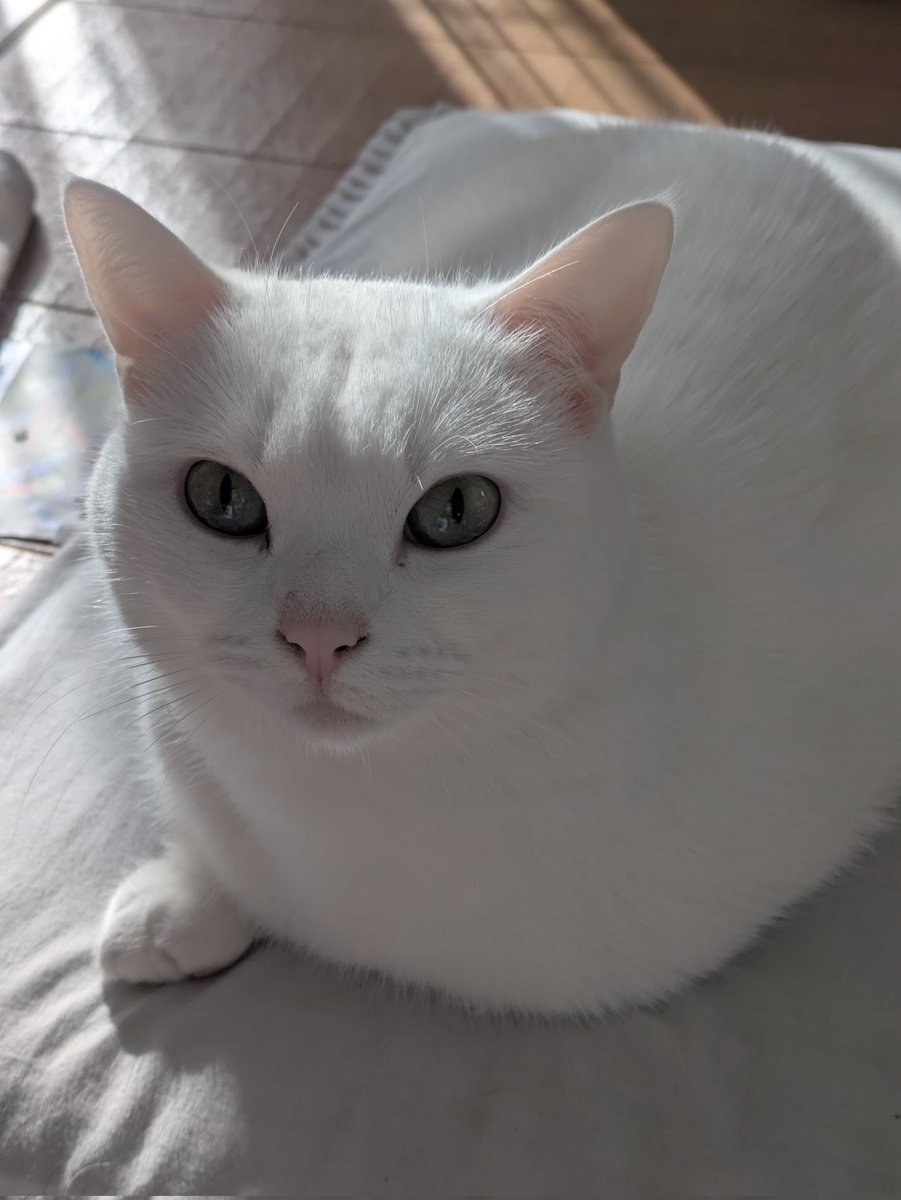 彩ひでCAMP⛺ tweet media