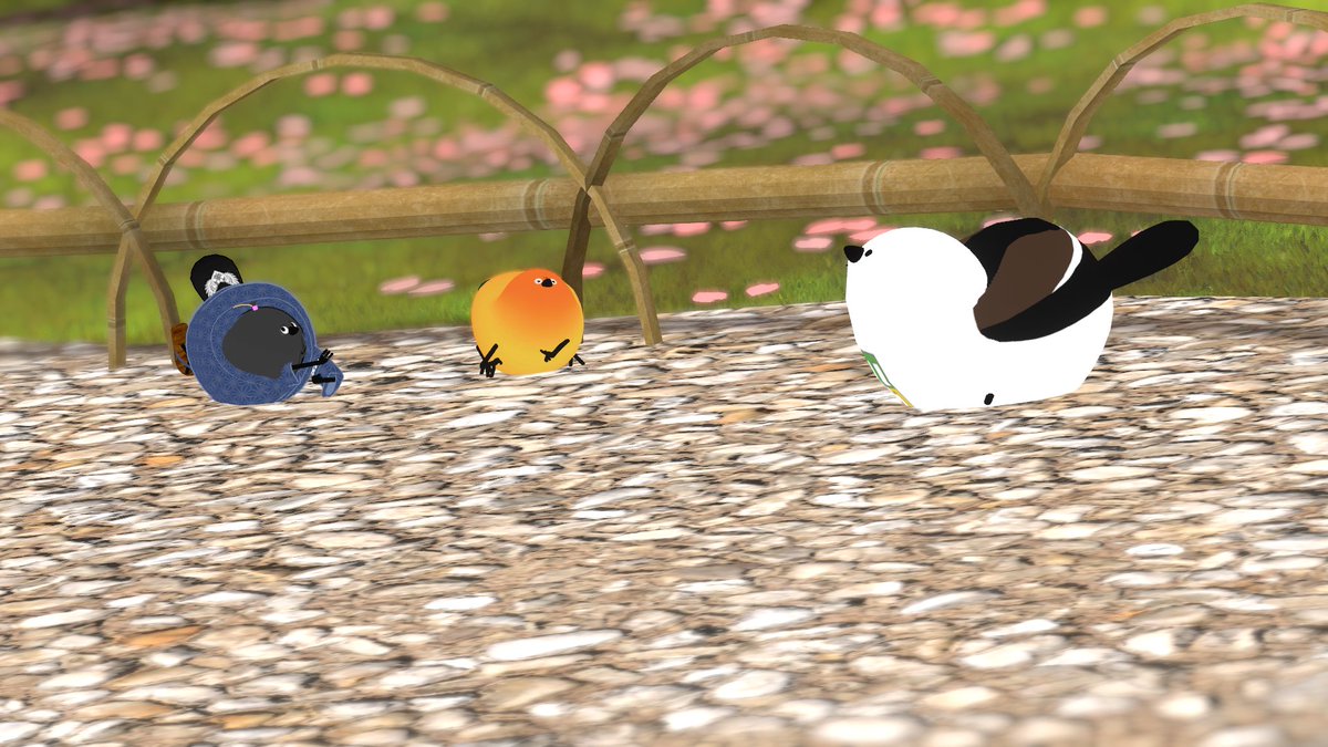 わらです tweet media