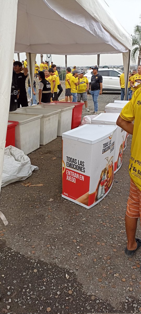 Ⅽ օ í ʍ ҍ ɾ ɑ tweet media