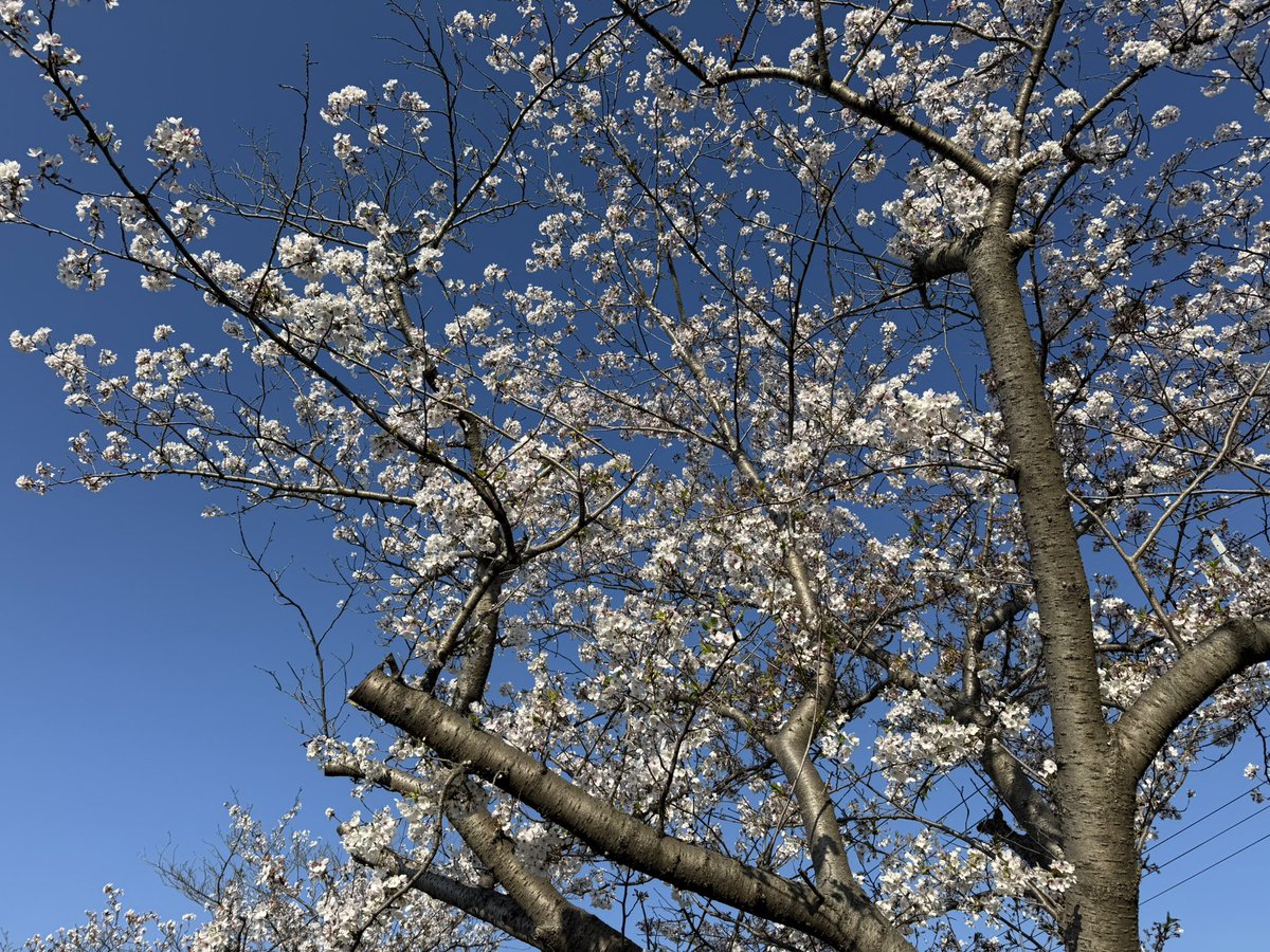 栗本唯@北浜で働く不動産会社社長 tweet media