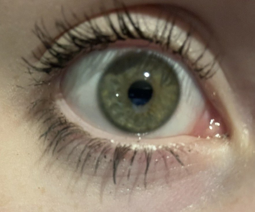 snakxne~shedtwt tweet media