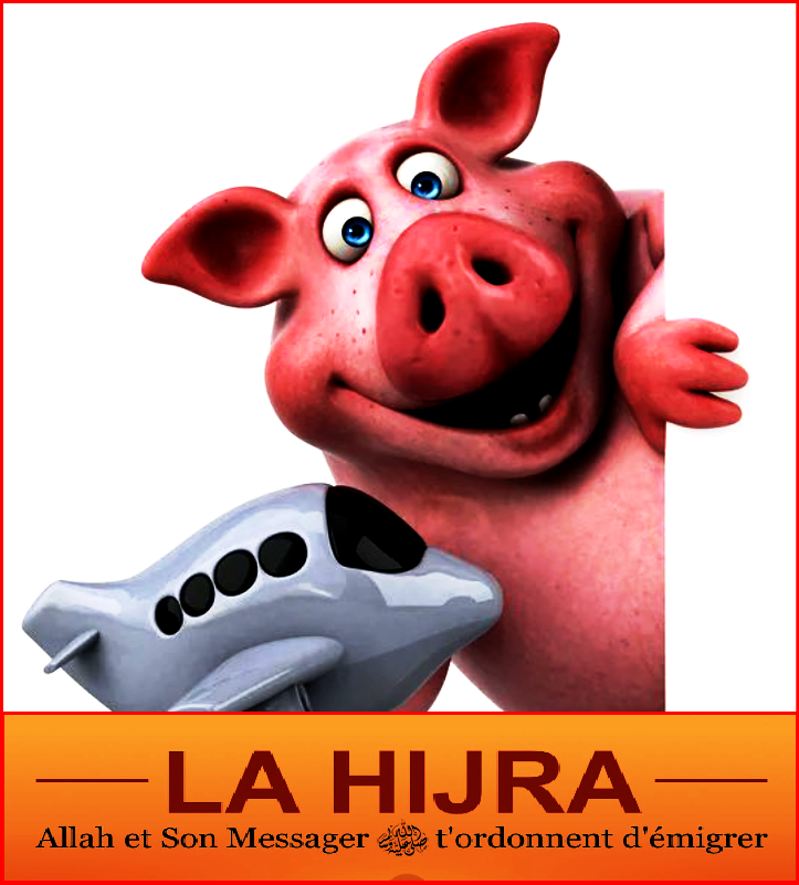 Stan Horowitz 👊🏻🇫🇷🖕🏻🇮🇱🤬🇺🇸🪖 tweet media