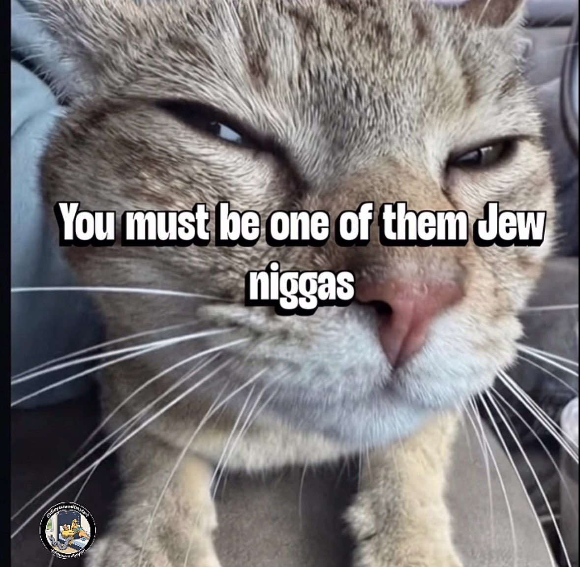 vile drax tweet media