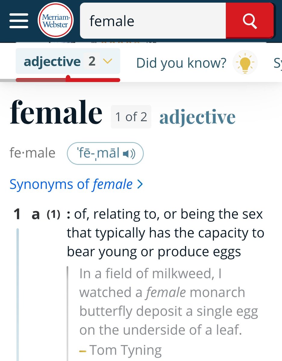 Lady Mel tweet media