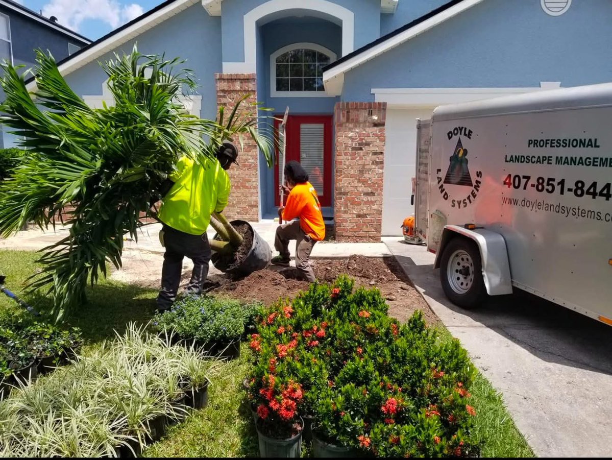 DoyleLand407's tweet image. Spring has Sprung &amp;amp; time to Rebuild Freeze Damaged Landscaping ! New Year New Landscape for 2026 !! 🌺🌼 Call Doyle Land Systems today and we will design &amp;amp; build and rebuild your dream landscape ! doylelandsystems.com🌴#landscapedesign #poolscape #rockscape #palms
