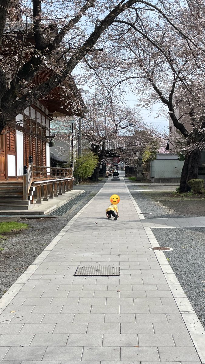 受付嬢苦情処理係ひかこままズ tweet media