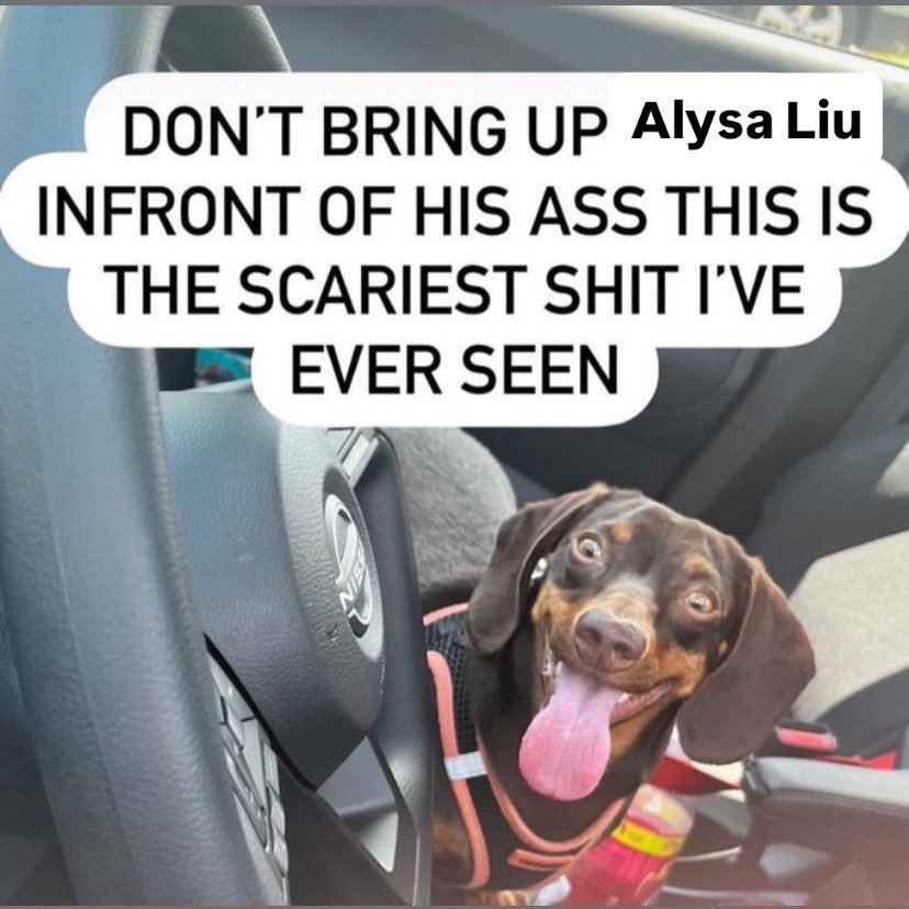 gabi ⋆⭒˚.⋆ tweet media