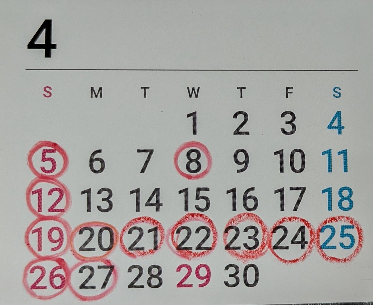 めんどうだ 『麺藤田』 tweet media