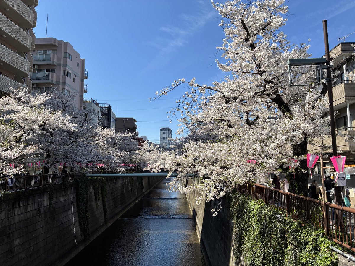 ツチ店長 【公式】 tweet media