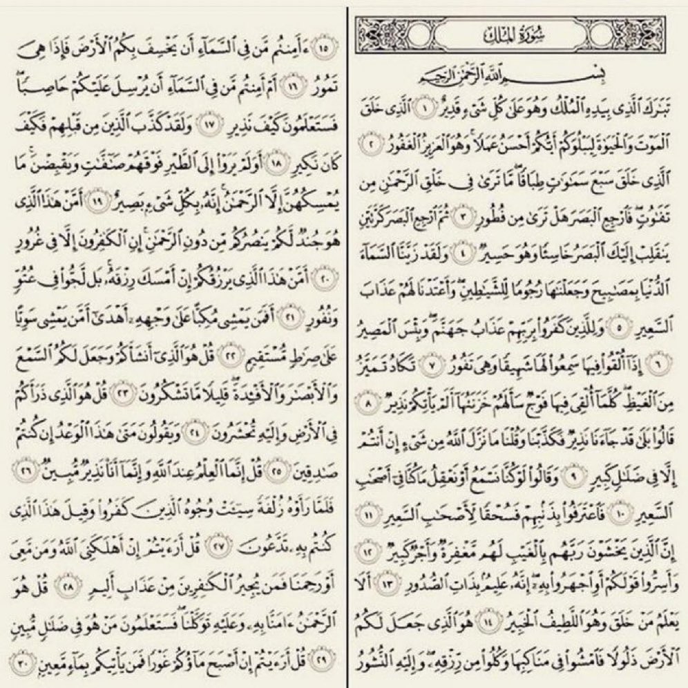 Voices from paradise tweet media