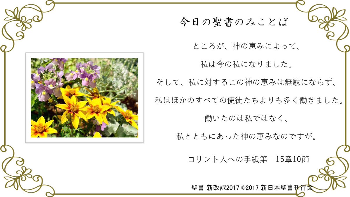 minohgrace1994's tweet photo. https://t.co/FSR5WRH2uI