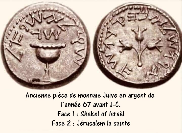 Stan Horowitz 👊🏻🇫🇷🖕🏻🇮🇱🤬🇺🇸🪖 tweet media