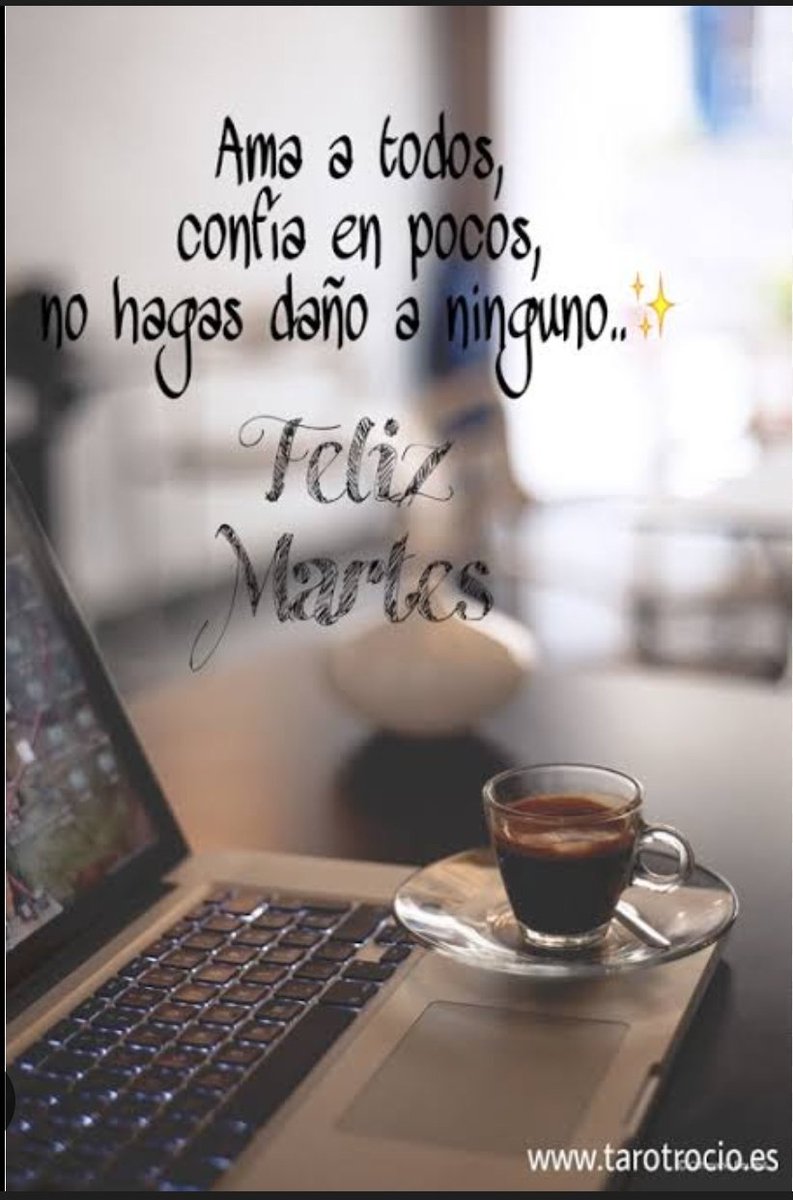 Ernesto Salazar tweet media