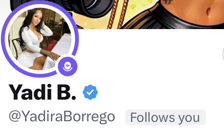 Alex 🥷 tweet media