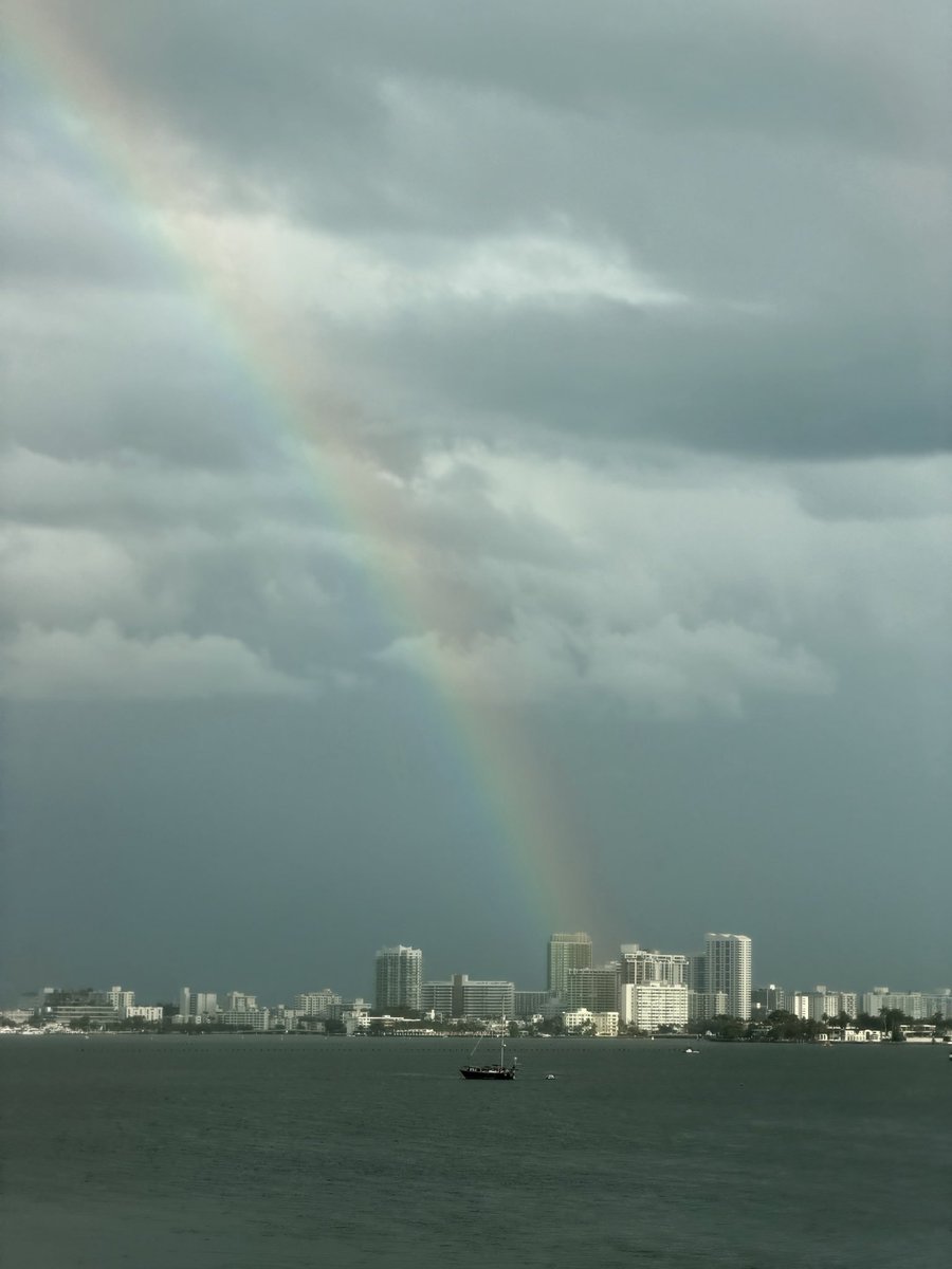 Bruna Gomes tweet media