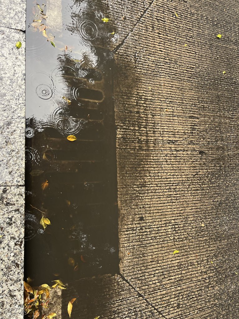SOFIARD's tweet photo. Sería un detallazo que desasolven coladeras antes de la época de lluvias. @mauriciotabe @ClaraBrugadaM https://t.co/0cL2H2w54U
