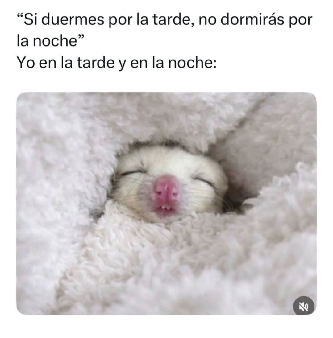 MariaGrci's tweet photo. https://t.co/as1X6JzxX9