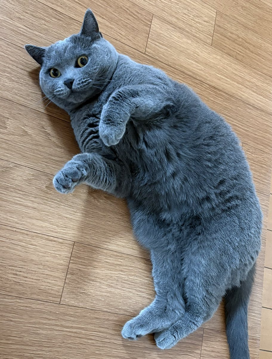 ちゃみ tweet media