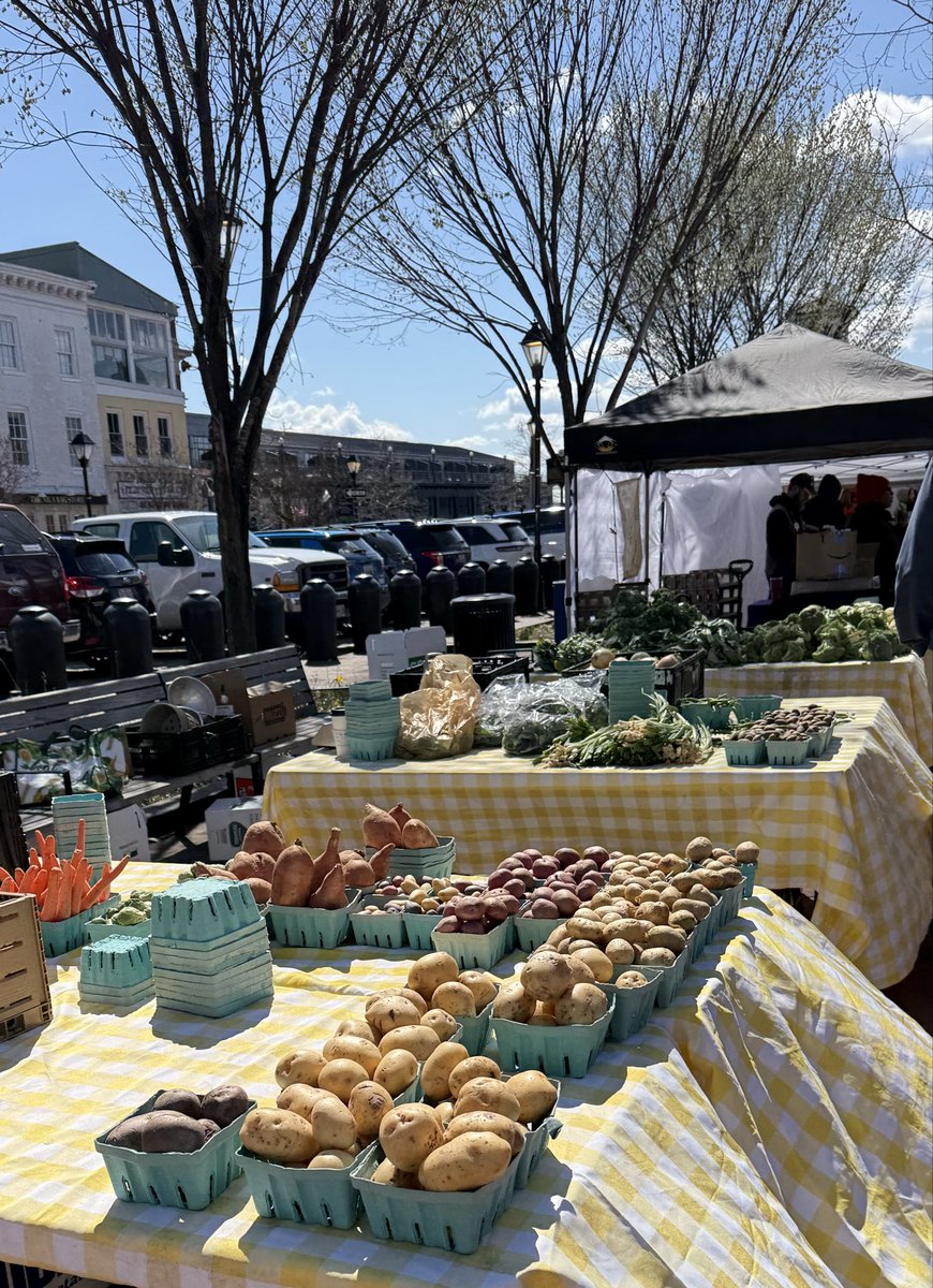 aya｜NJ🇺🇸駐在帯同・英語勉強中 tweet media