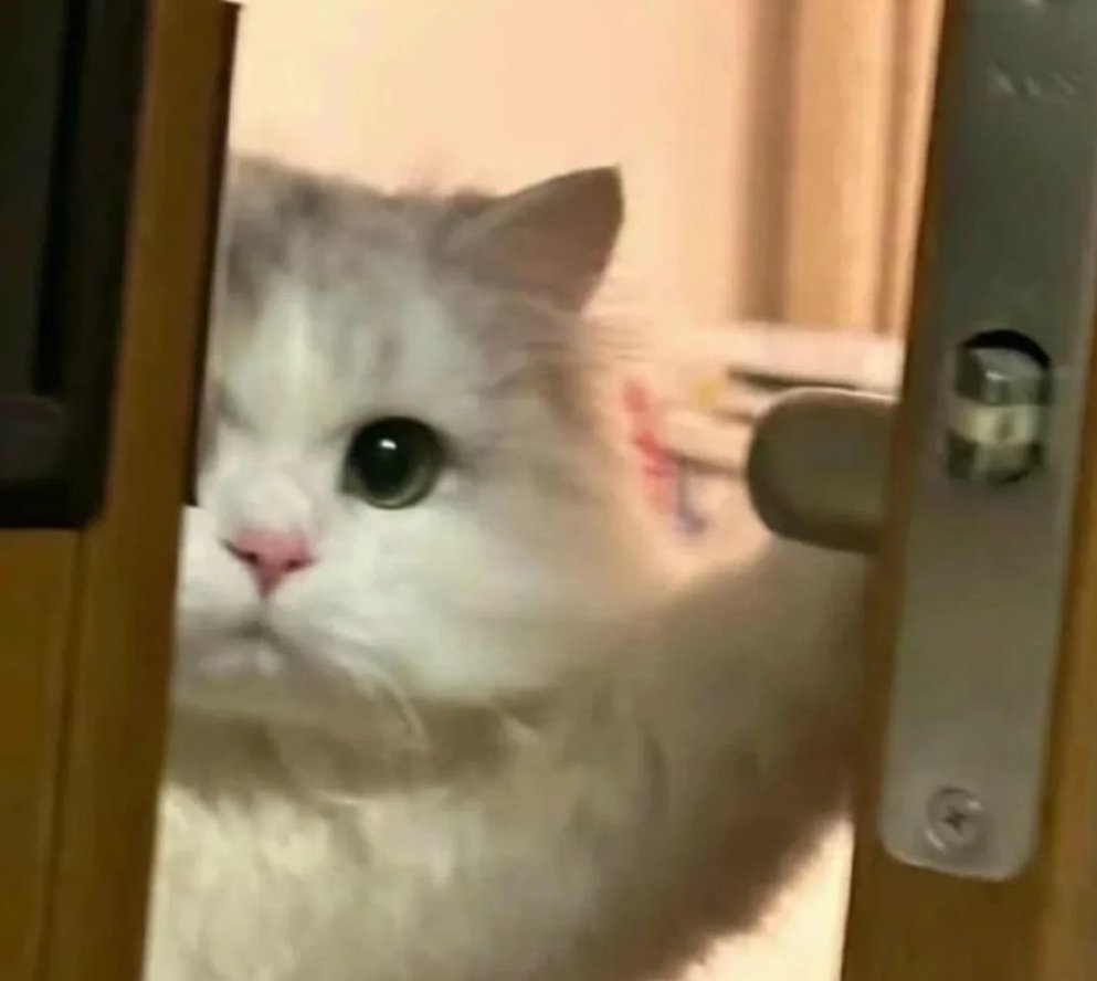 Daily Reminder Dose tweet media