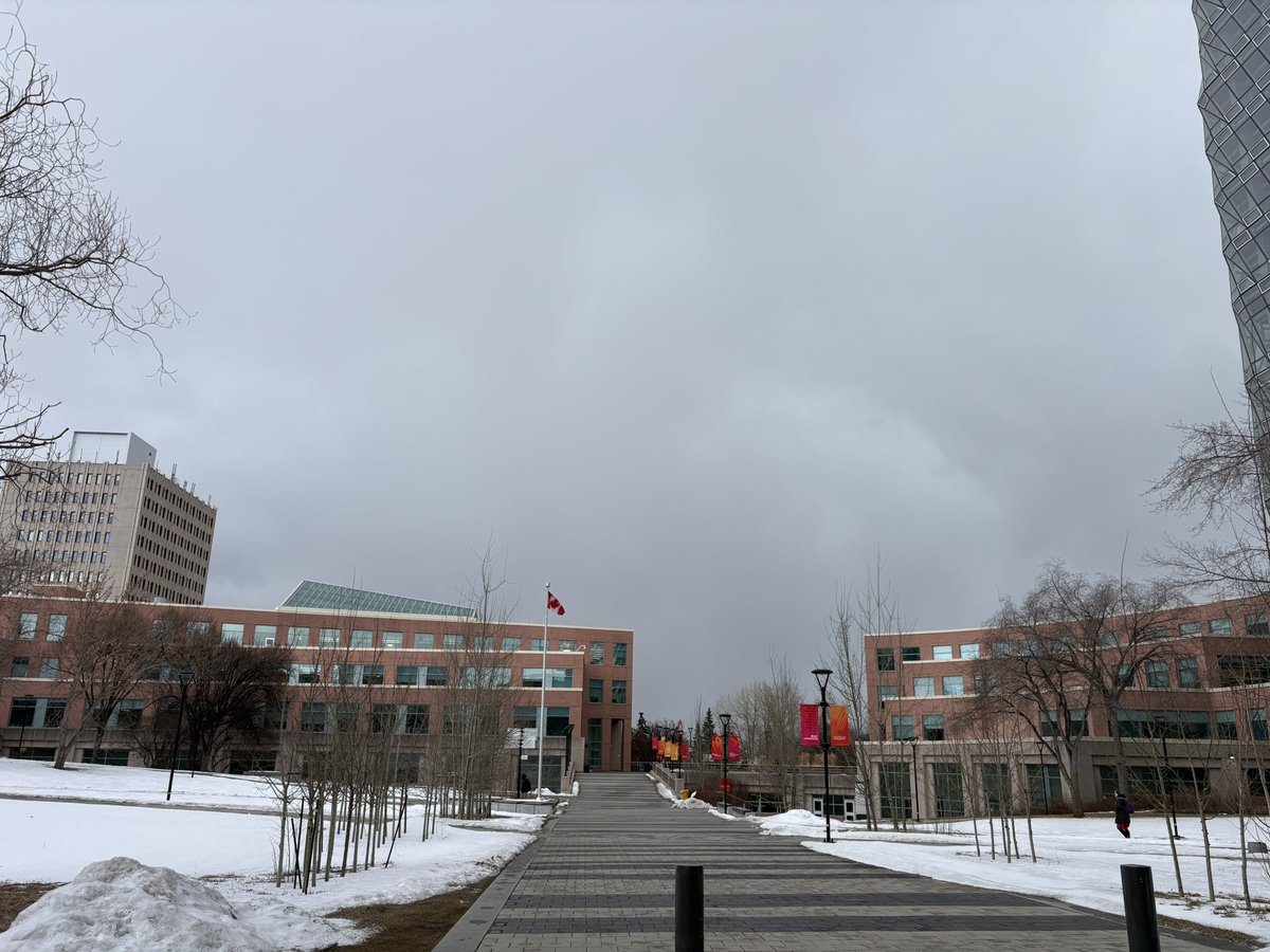 BenChernesky's tweet image. Stormy skies in Calgary right now as a thunderflurry enters the SW quadrant of the city. 🌩️
#abstorm #yyc