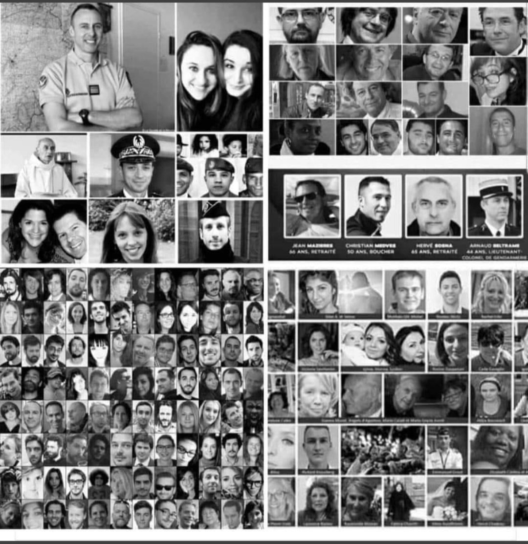 Stan Horowitz 👊🏻🇫🇷🖕🏻🇮🇱🤬🇺🇸🪖 tweet media