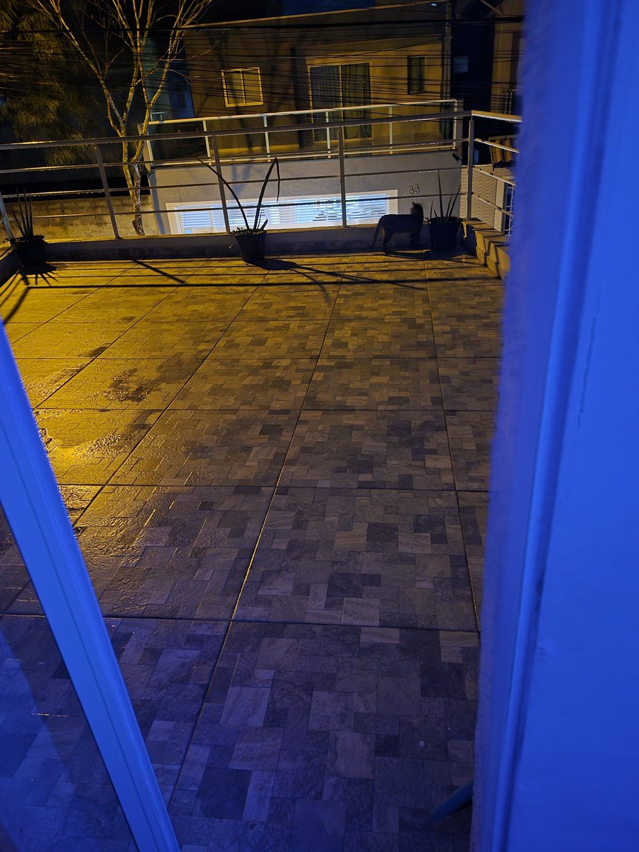 𝔤𝔞𝔟𝔯𝔦𝔢𝔩 tweet media