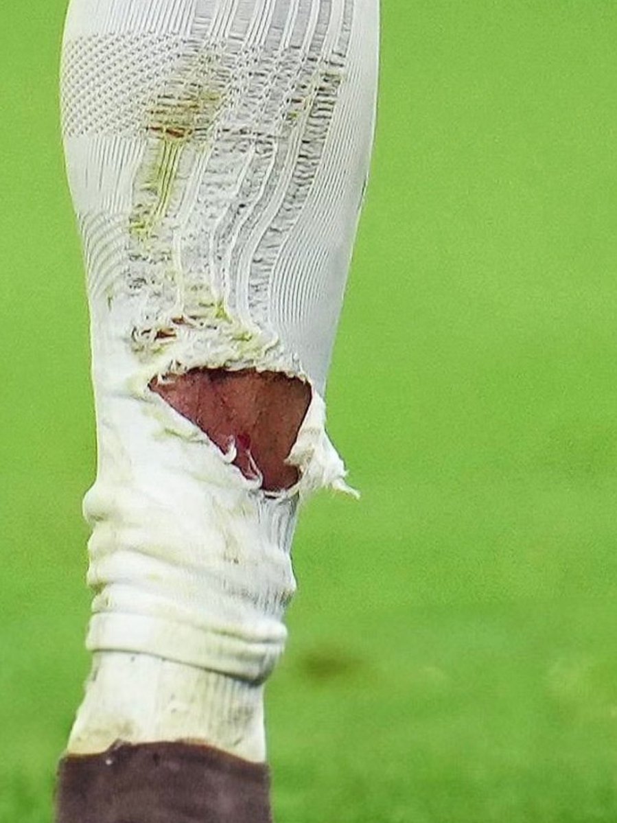 Manolo Lama tweet media