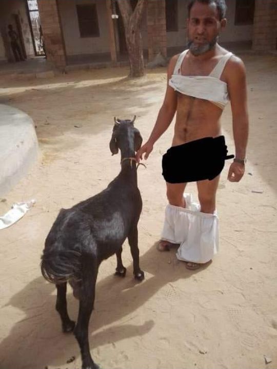 Stan Horowitz 👊🏻🇫🇷🖕🏻🇮🇱🤬🇺🇸🪖 tweet media