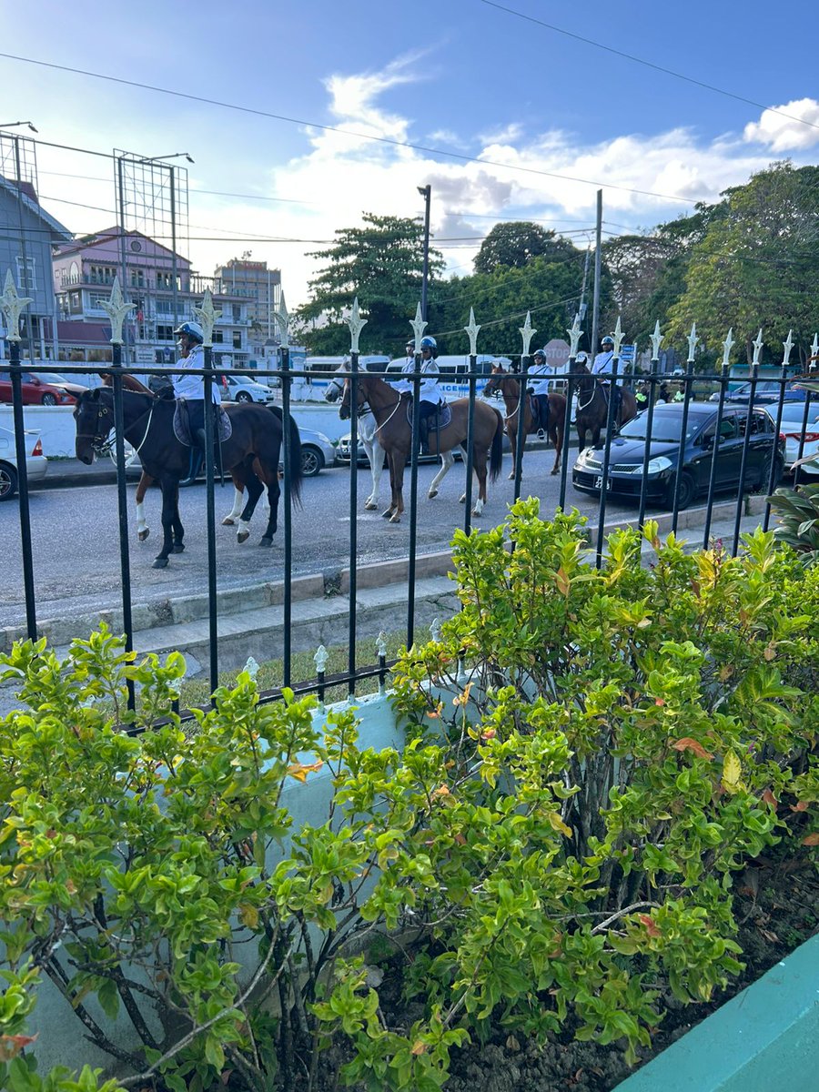 Tyrelle Audain (The Cricket Rockstar) 🇹🇹🏏 tweet media