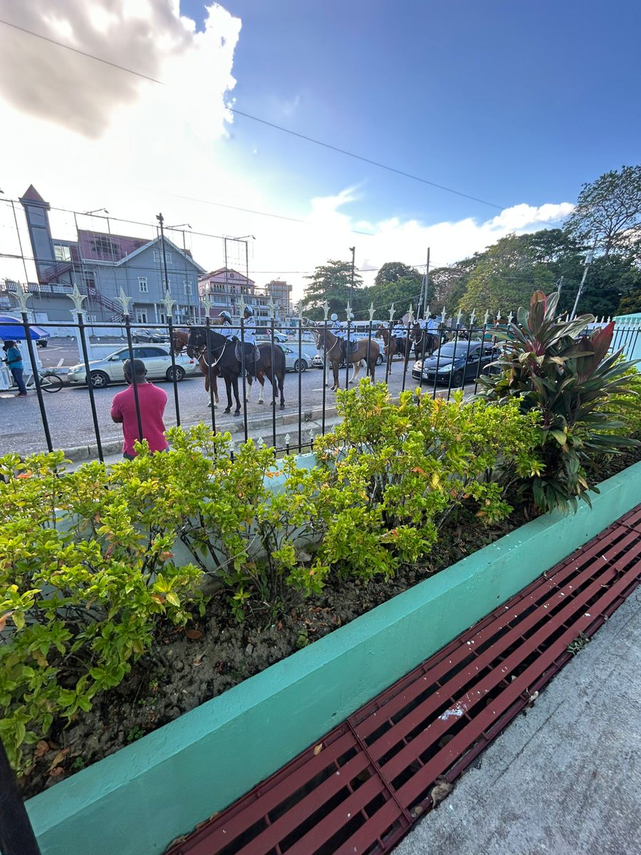 Tyrelle Audain (The Cricket Rockstar) 🇹🇹🏏 tweet media