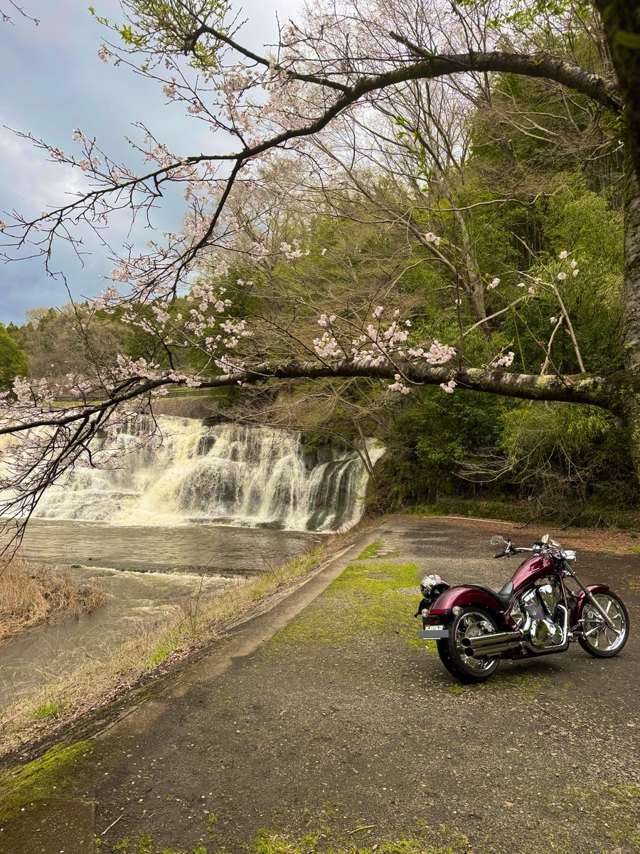 ひろゃ🤖 tweet media