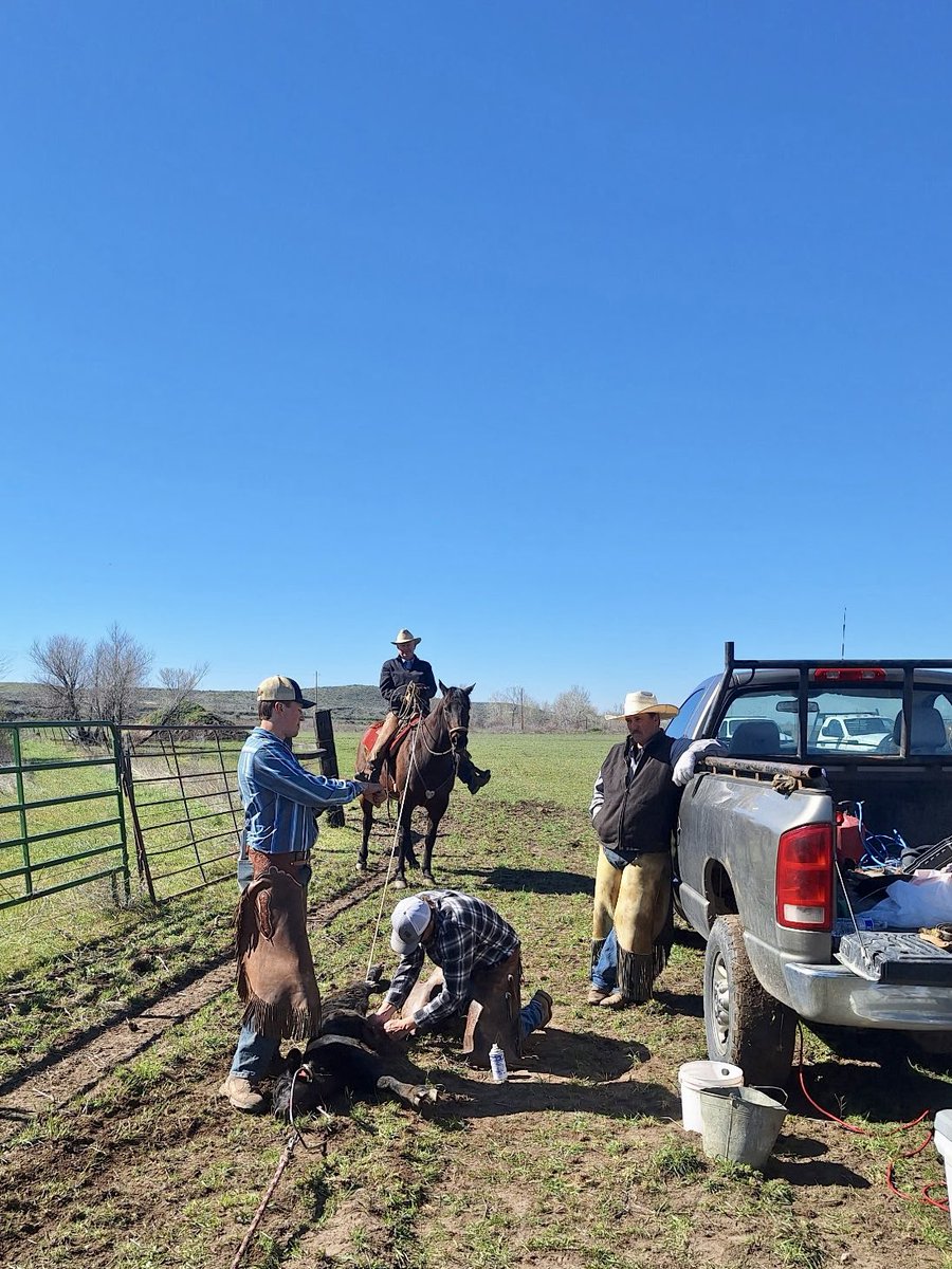 Brad Little tweet media