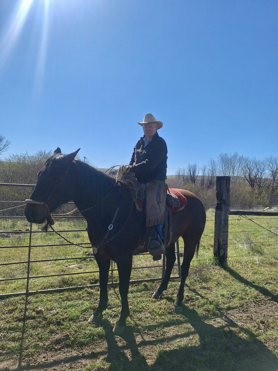 Brad Little tweet media