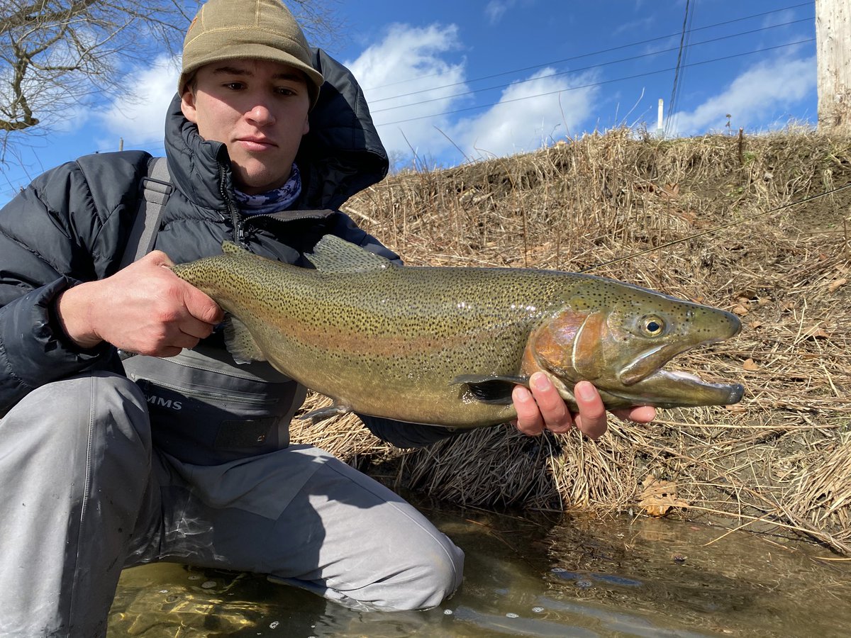 Scott ✝️ tweet media