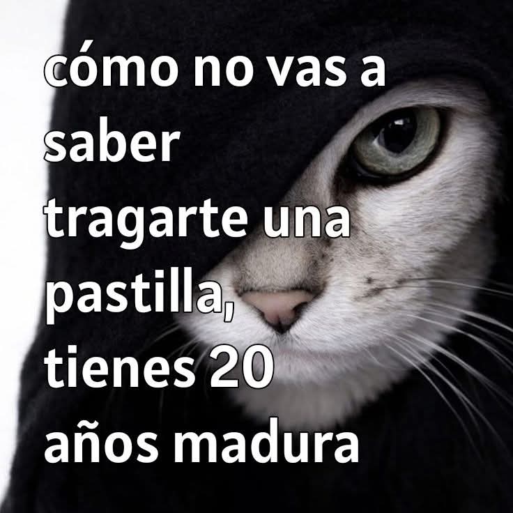 Memes robados tweet media