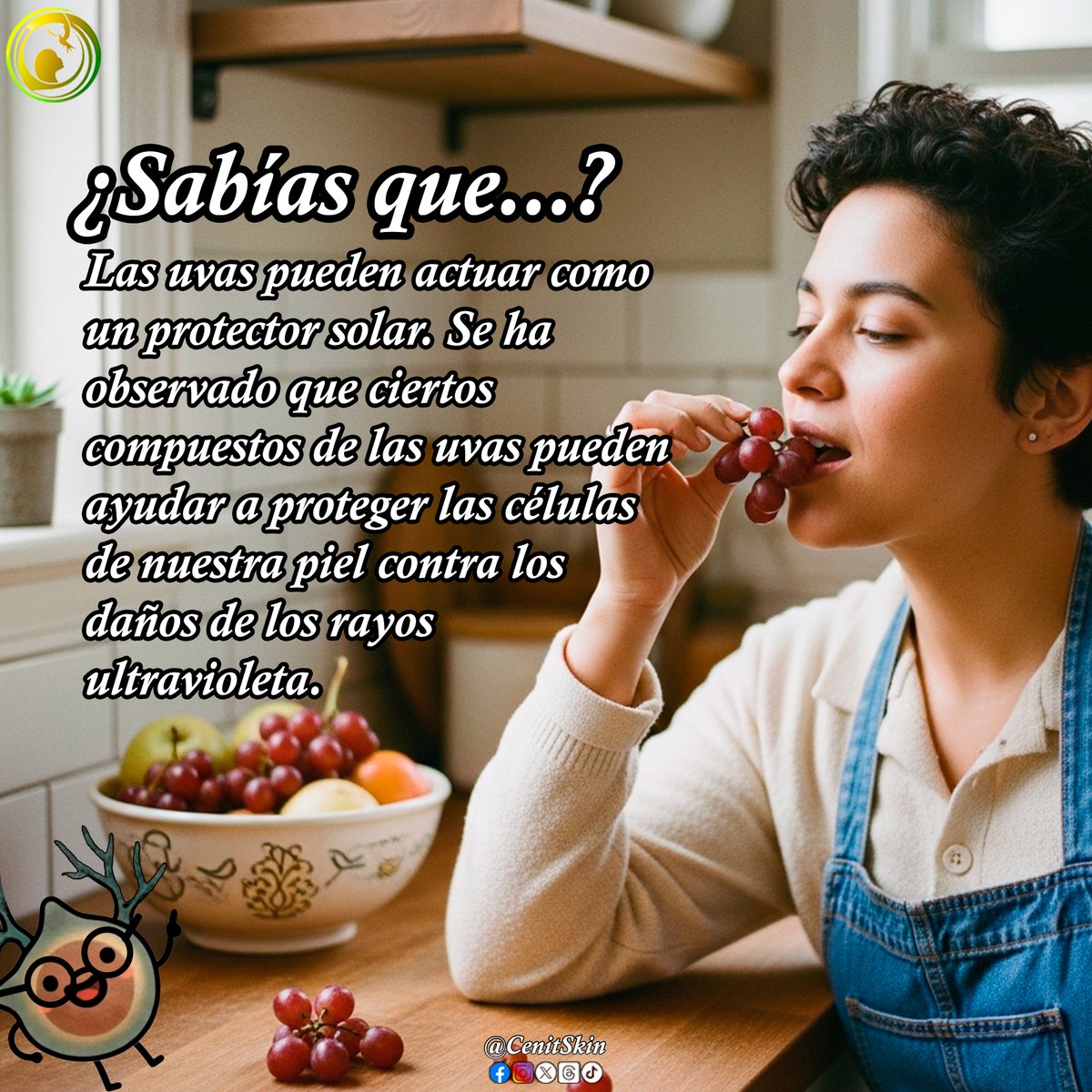 cenitskin's tweet image. La uva contiene resveratrol, un antioxidante potente que protege contra el daño celular, estimula la producción de colágeno y previene el envejecimiento prematuro. Una fruta aliada para las personas que padecemos vitíligo.

#Datoscuriosos #SabiasQue #Salud #vitiligo