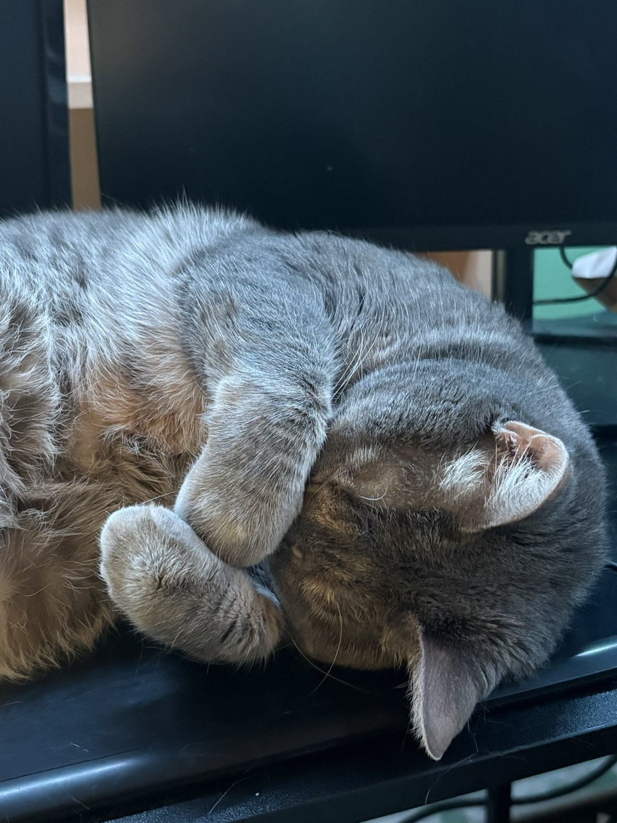 Mark ε( 。· ɷ ·) tweet media