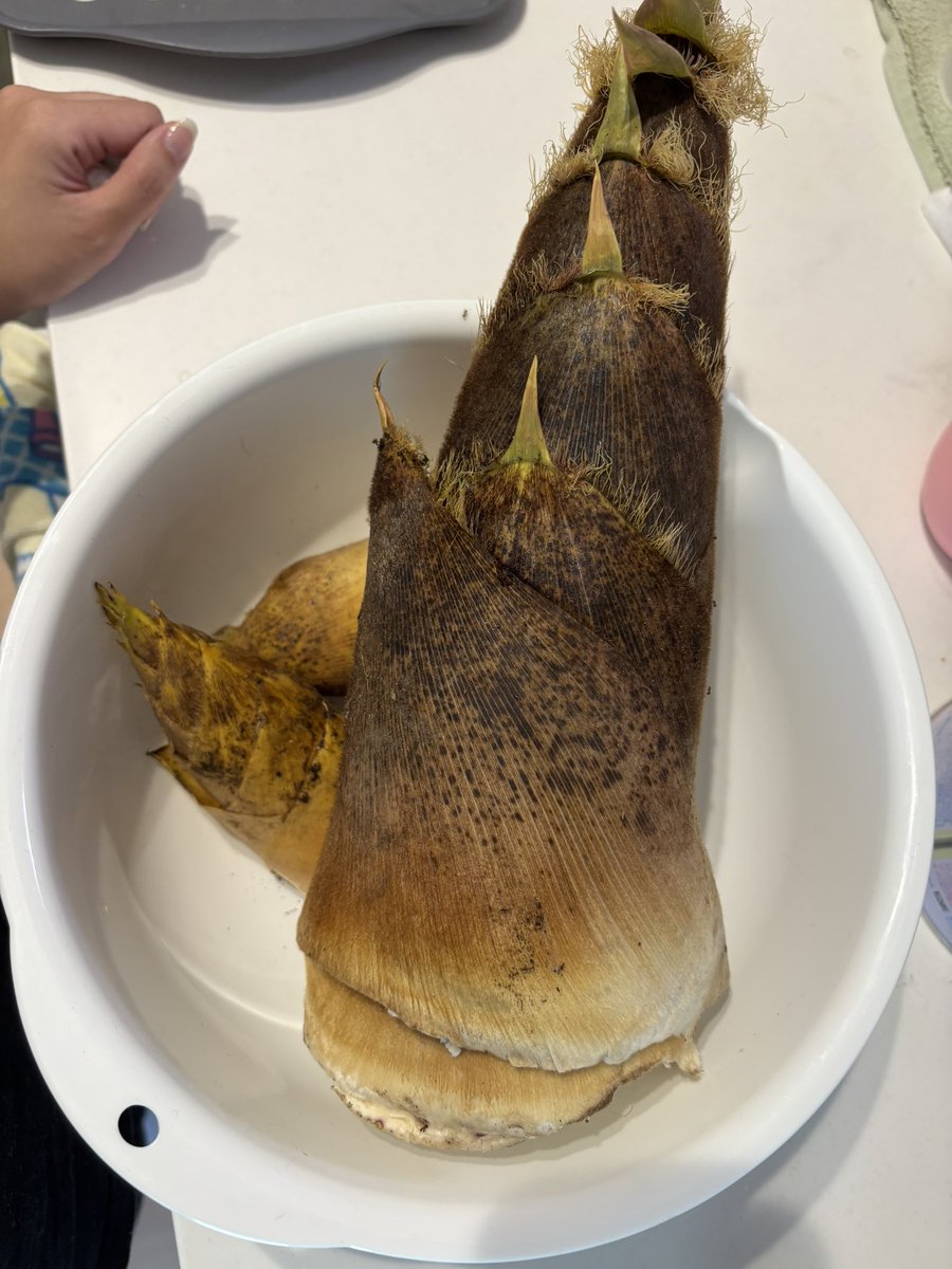 ぽてと tweet media