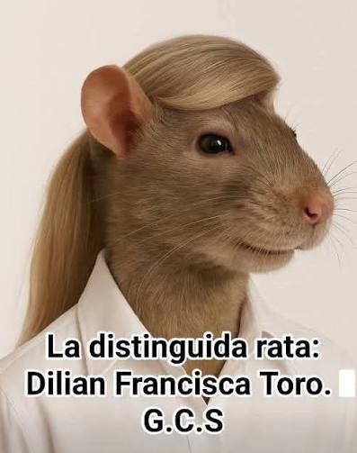 MARIAFRANCO tweet media