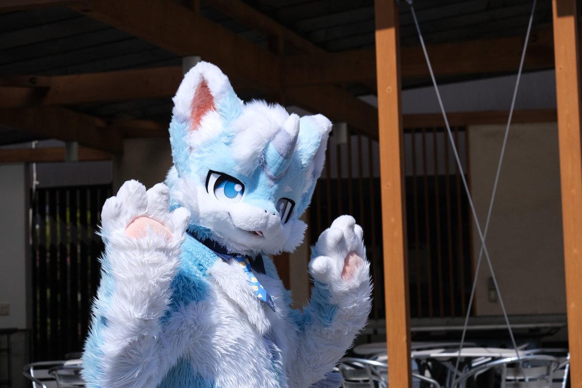 ゴマ(Goma) tweet media