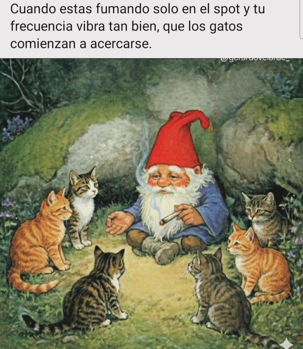 Charly Grown tweet media