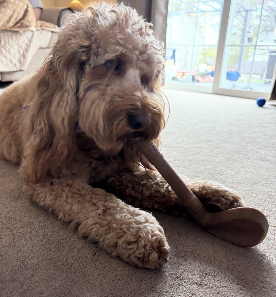 Cooper Jack & Biggie Smalls tweet media